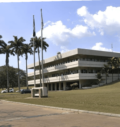 IITA